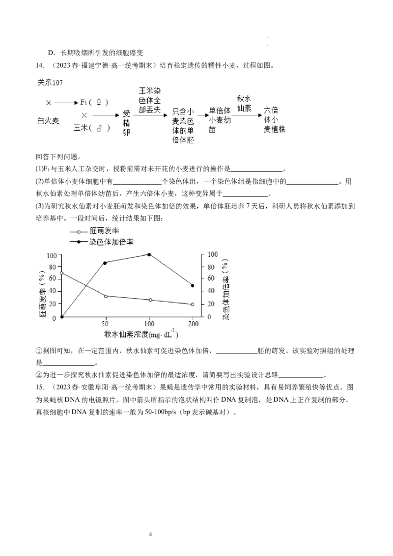 第23讲生物的变异（练习）（原卷版）_新高考复习资料_2024年新高考复习资料_一轮复习资料_完2024年高考生物一轮复习讲练测(课件+讲义+练习)（新高考）_讲义+练习