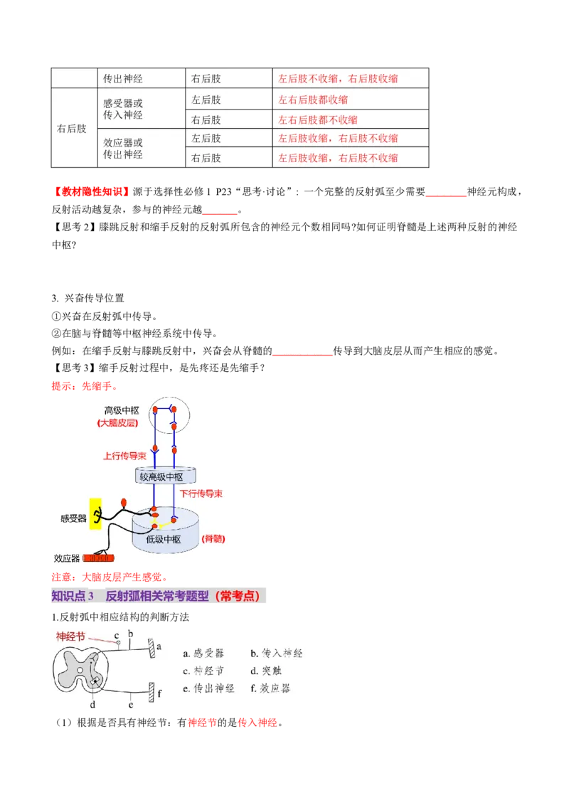 第25讲神经调节（第一课时，神经调节的结构基础及基本方式）（讲义）（原卷版）_2025年新高考资料_一轮复习_2025年高考生物一轮复习讲练测（新教材新高考）