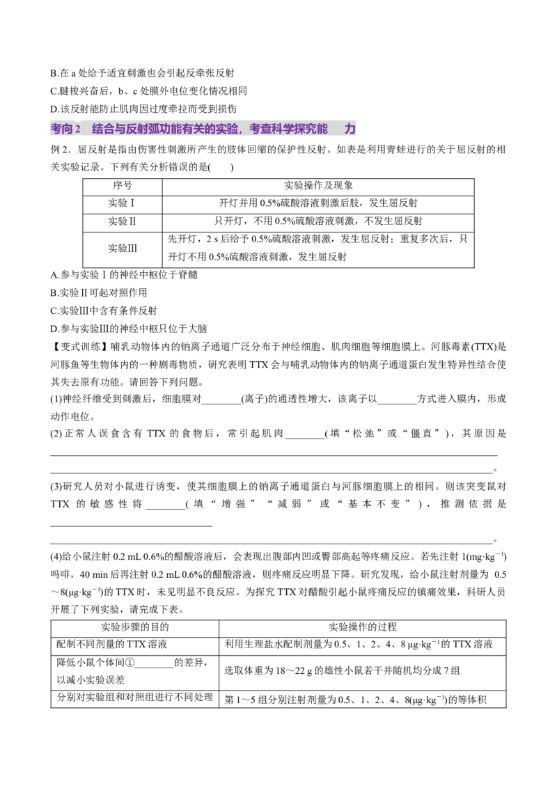 第25讲神经调节（第一课时，神经调节的结构基础及基本方式）（讲义）（原卷版）_2025年新高考资料_一轮复习_2025年高考生物一轮复习讲练测（新教材新高考）