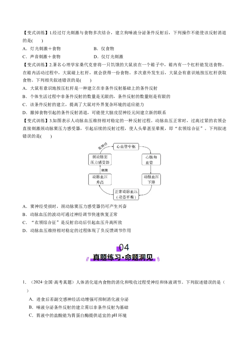 第25讲神经调节（第一课时，神经调节的结构基础及基本方式）（讲义）（原卷版）_2025年新高考资料_一轮复习_2025年高考生物一轮复习讲练测（新教材新高考）