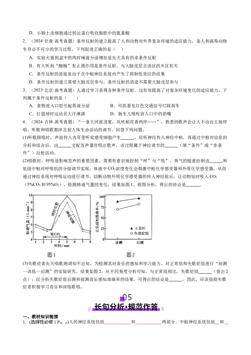 第25讲神经调节（第一课时，神经调节的结构基础及基本方式）（讲义）（原卷版）_2025年新高考资料_一轮复习_2025年高考生物一轮复习讲练测（新教材新高考）