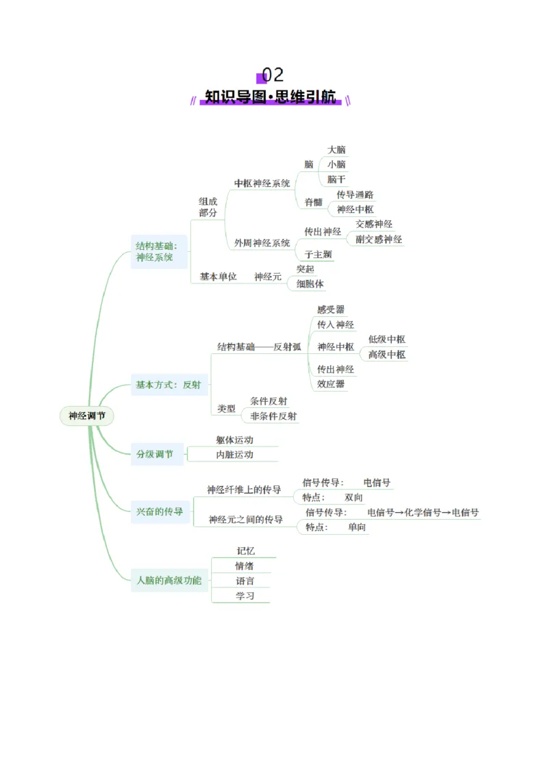 第25讲神经调节（第一课时，神经调节的结构基础及基本方式）（讲义）（原卷版）_2025年新高考资料_一轮复习_2025年高考生物一轮复习讲练测（新教材新高考）