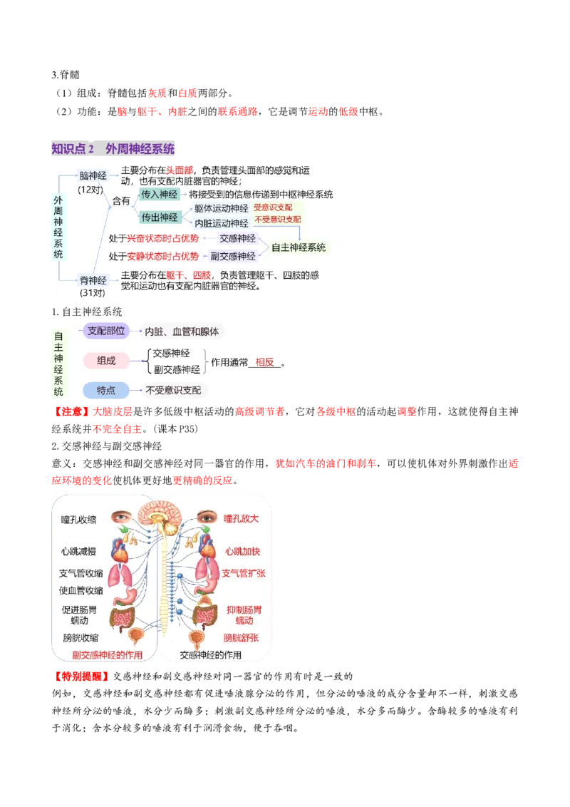 第25讲神经调节（第一课时，神经调节的结构基础及基本方式）（讲义）（原卷版）_2025年新高考资料_一轮复习_2025年高考生物一轮复习讲练测（新教材新高考）