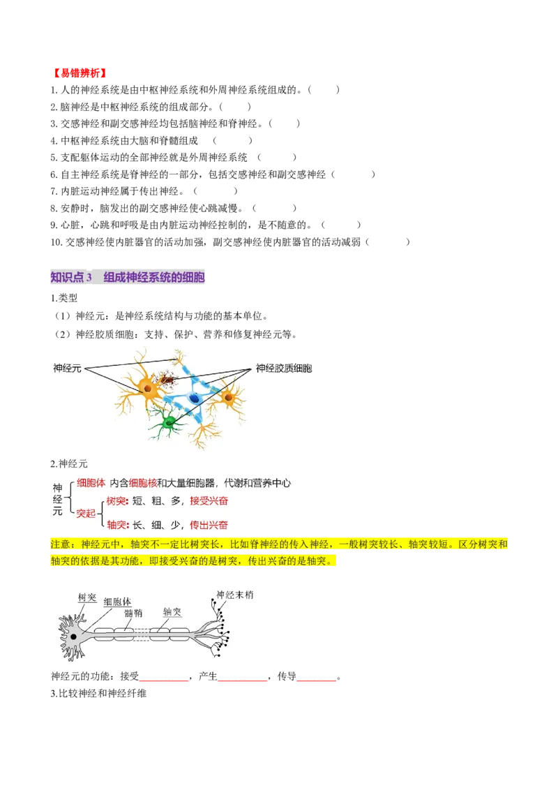 第25讲神经调节（第一课时，神经调节的结构基础及基本方式）（讲义）（原卷版）_2025年新高考资料_一轮复习_2025年高考生物一轮复习讲练测（新教材新高考）
