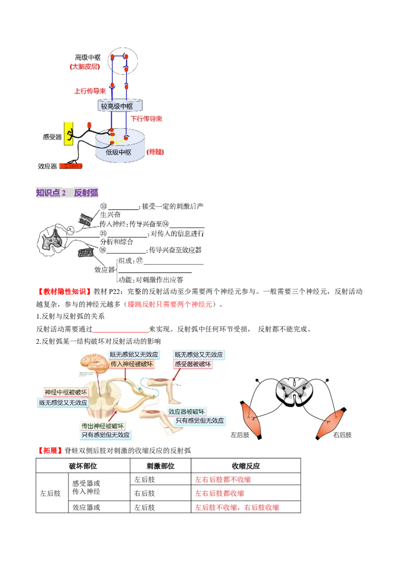 第25讲神经调节（第一课时，神经调节的结构基础及基本方式）（讲义）（原卷版）_2025年新高考资料_一轮复习_2025年高考生物一轮复习讲练测（新教材新高考）