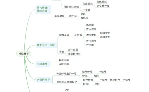 第25讲神经调节（第一课时，神经调节的结构基础及基本方式）（讲义）（原卷版）_2025年新高考资料_一轮复习_2025年高考生物一轮复习讲练测（新教材新高考）