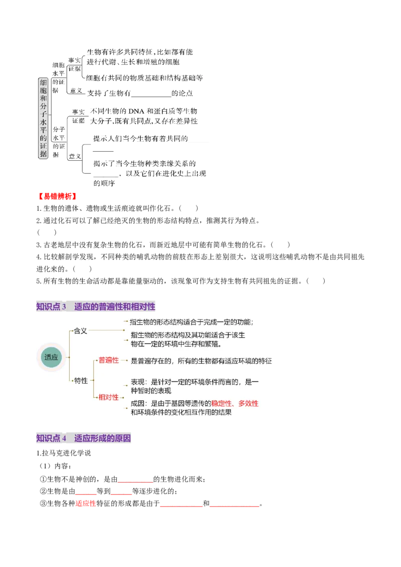 第23讲生物的进化（讲义）（原卷版）_2025年新高考资料_一轮复习_2025年高考生物一轮复习讲练测（新教材新高考）
