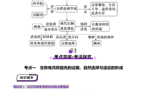 第23讲生物的进化（讲义）（原卷版）_2025年新高考资料_一轮复习_2025年高考生物一轮复习讲练测（新教材新高考）