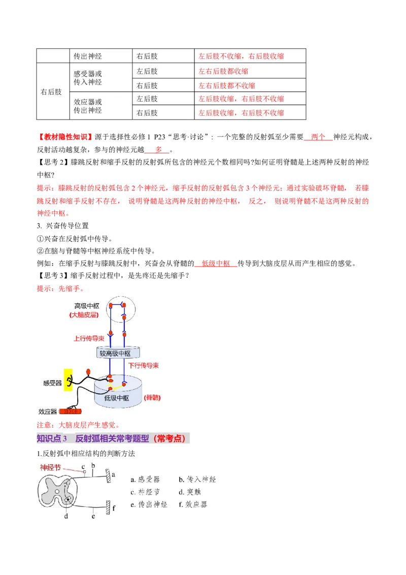 第25讲神经调节（第一课时，神经调节的结构基础及基本方式）（讲义）（解析版）_2025年新高考资料_一轮复习_2025年高考生物一轮复习讲练测（新教材新高考）
