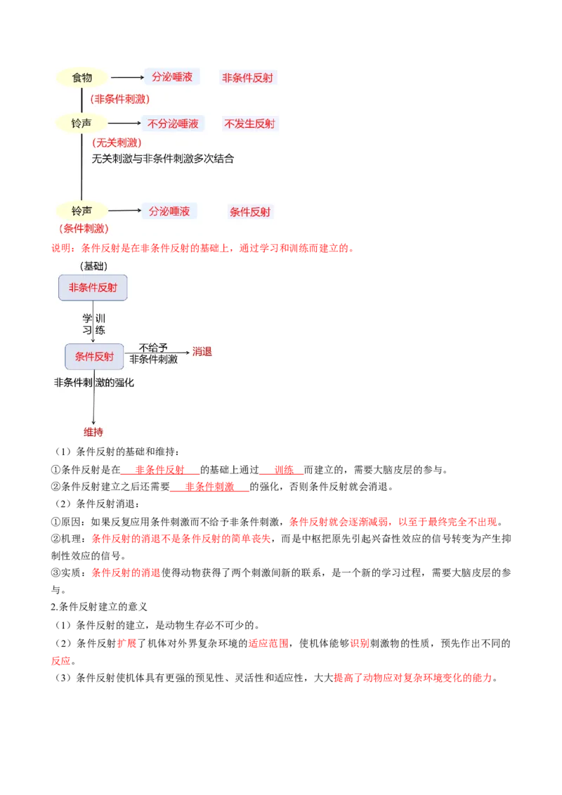 第25讲神经调节（第一课时，神经调节的结构基础及基本方式）（讲义）（解析版）_2025年新高考资料_一轮复习_2025年高考生物一轮复习讲练测（新教材新高考）
