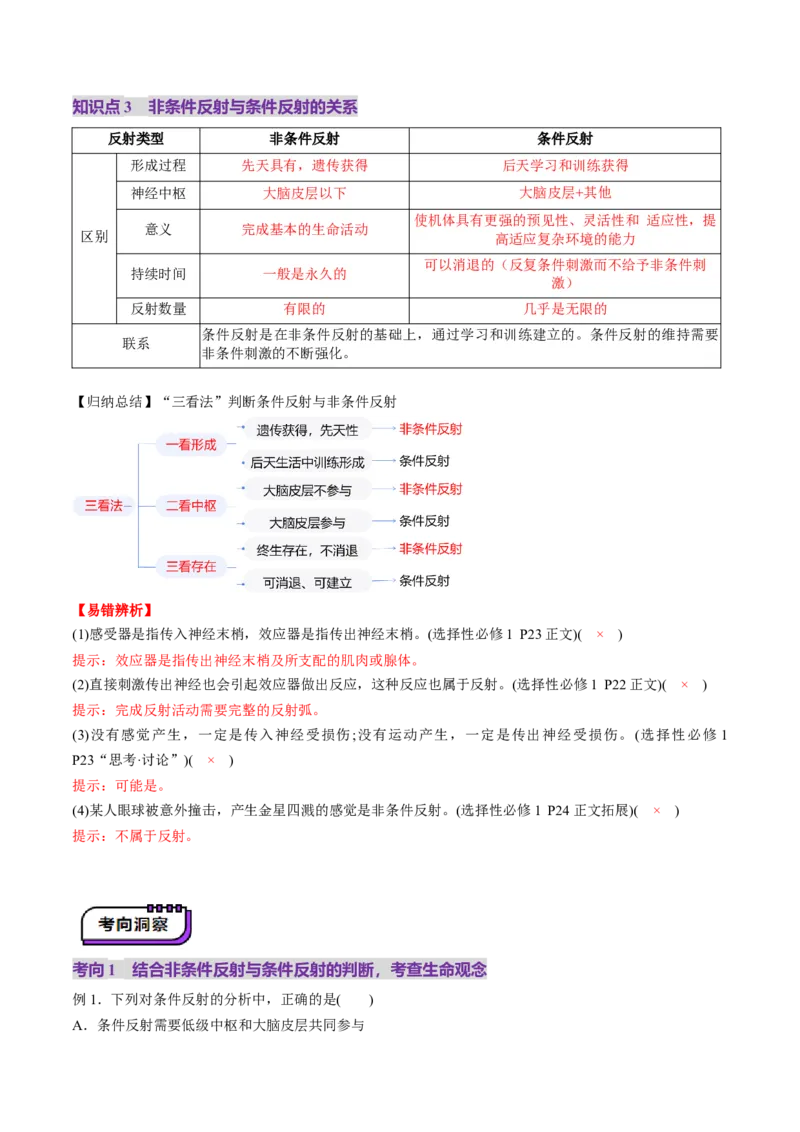 第25讲神经调节（第一课时，神经调节的结构基础及基本方式）（讲义）（解析版）_2025年新高考资料_一轮复习_2025年高考生物一轮复习讲练测（新教材新高考）