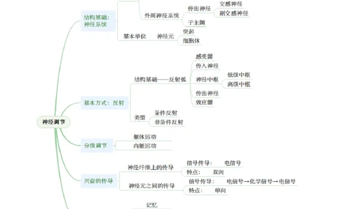 第25讲神经调节（第一课时，神经调节的结构基础及基本方式）（讲义）（解析版）_2025年新高考资料_一轮复习_2025年高考生物一轮复习讲练测（新教材新高考）