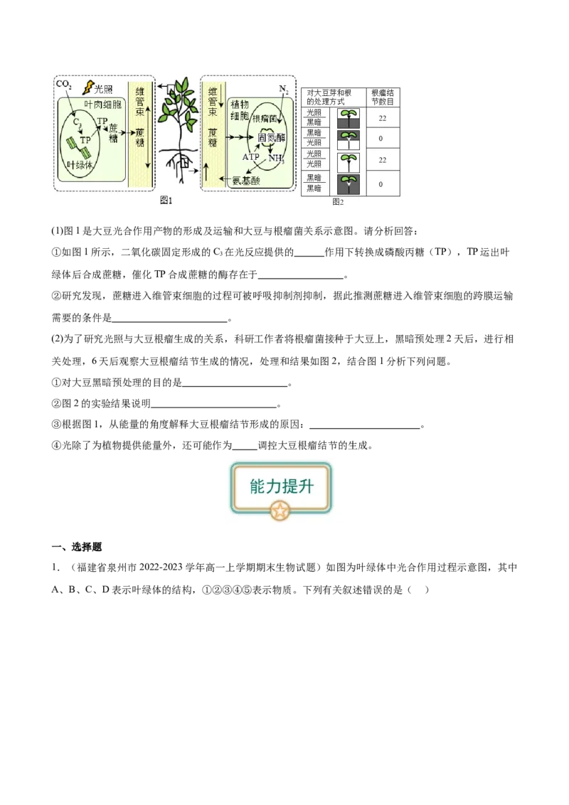 第4讲光与光合作用（原卷版）_通用版（老高考）复习资料_2024年复习资料_完备战2024年高考生物一轮复习考点帮（全国通用）_专题四细胞的能量供应和利用