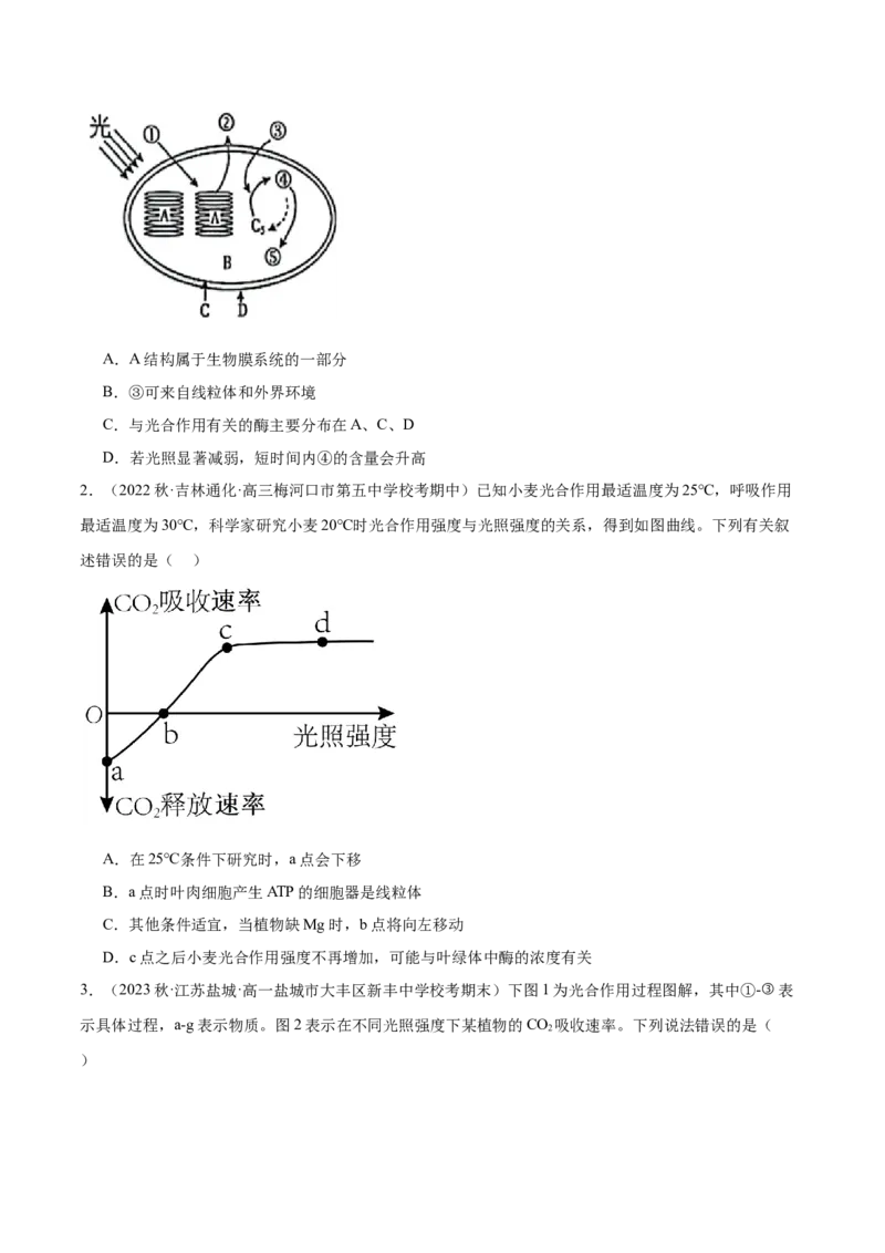 第4讲光与光合作用（原卷版）_通用版（老高考）复习资料_2024年复习资料_完备战2024年高考生物一轮复习考点帮（全国通用）_专题四细胞的能量供应和利用
