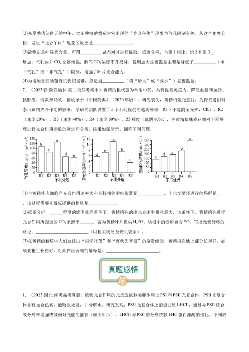 第4讲光与光合作用（原卷版）_通用版（老高考）复习资料_2024年复习资料_完备战2024年高考生物一轮复习考点帮（全国通用）_专题四细胞的能量供应和利用