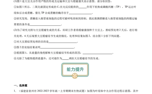 第4讲光与光合作用（原卷版）_通用版（老高考）复习资料_2024年复习资料_完备战2024年高考生物一轮复习考点帮（全国通用）_专题四细胞的能量供应和利用