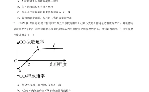 第4讲光与光合作用（原卷版）_通用版（老高考）复习资料_2024年复习资料_完备战2024年高考生物一轮复习考点帮（全国通用）_专题四细胞的能量供应和利用