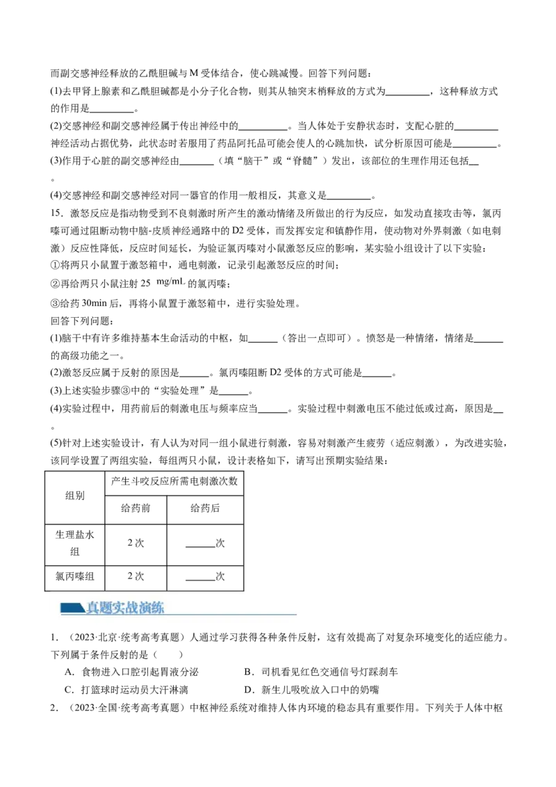 第26.1讲神经调节的结构基础、基本方式、分级调节、高级功能（练习）（原卷版）_新高考复习资料_2024年新高考复习资料_一轮复习资料_讲义+练习