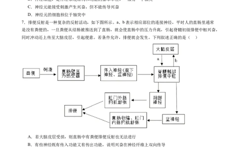 第26.1讲神经调节的结构基础、基本方式、分级调节、高级功能（练习）（原卷版）_新高考复习资料_2024年新高考复习资料_一轮复习资料_讲义+练习