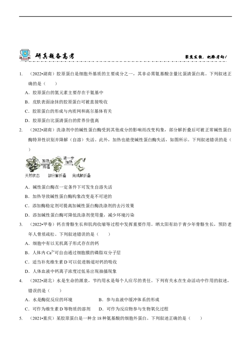第1讲组成细胞的元素和化合物（讲练）（原卷版）_新高考复习资料_2023年新高考复习资料_二轮复习_2023年高考生物二轮复习讲练测（新教材专用）