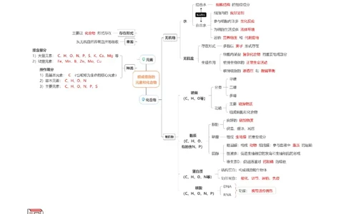 第1讲组成细胞的元素和化合物（讲练）（原卷版）_新高考复习资料_2023年新高考复习资料_二轮复习_2023年高考生物二轮复习讲练测（新教材专用）