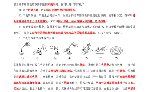 第1章发酵工程（背诵版）_2025年新高考资料_专项复习_晨读晚默备战2025年高考生物必背知识清单_第1章发酵工程-晨读晚默备战2025年高考生物必背知识清单