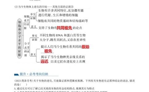 第24讲生物的进化（讲义）（教师版）_新高考复习资料_2024年新高考复习资料_一轮复习资料_完2024年高考生物一轮复习讲练测(课件+讲义+练习)（新高考）_讲义+练习