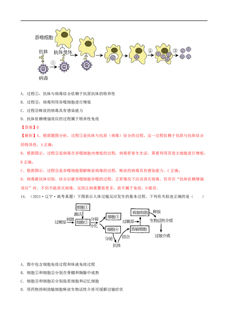 第25练免疫调节（解析版）_新高考复习资料_2023年新高考复习资料_一轮复习_2023年高考生物一轮复习小题多维练（新高考专用）