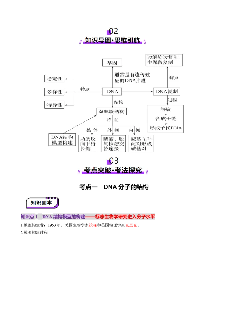 第20讲DNA分子的结构、复制与基因的本质（讲义）（解析版）_2025年新高考资料_一轮复习_2025年高考生物一轮复习讲练测（新教材新高考）