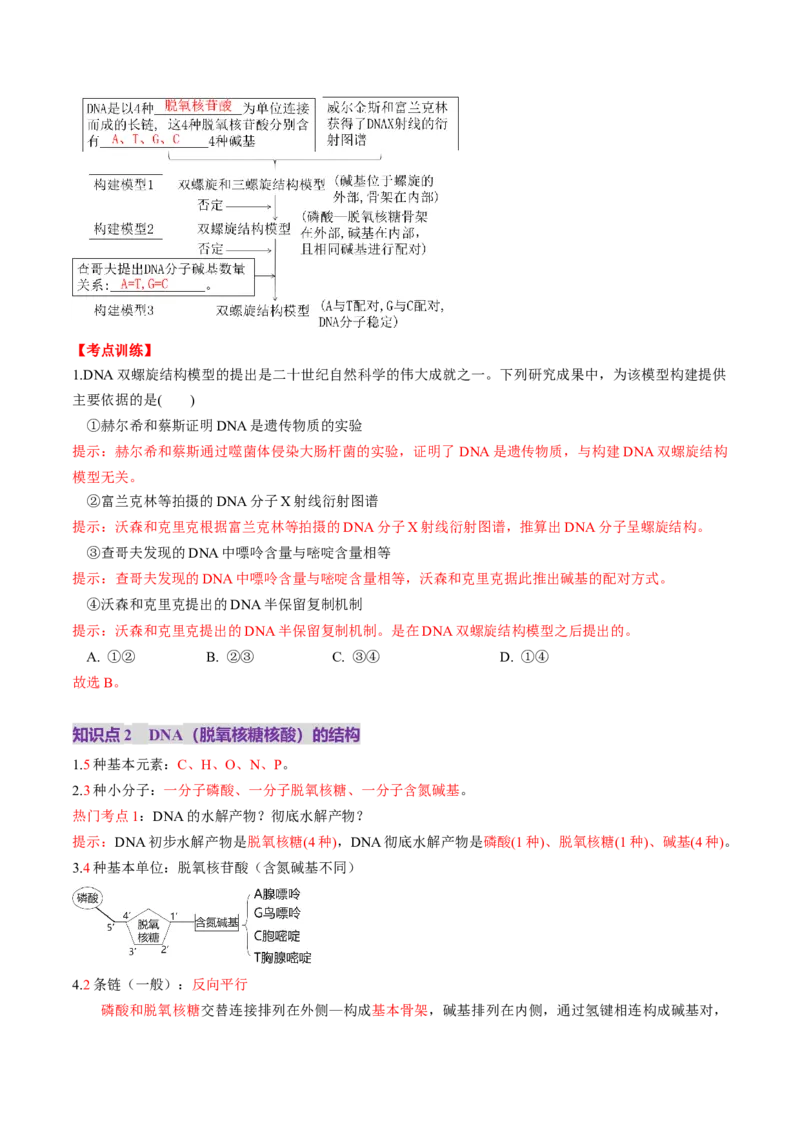 第20讲DNA分子的结构、复制与基因的本质（讲义）（解析版）_2025年新高考资料_一轮复习_2025年高考生物一轮复习讲练测（新教材新高考）