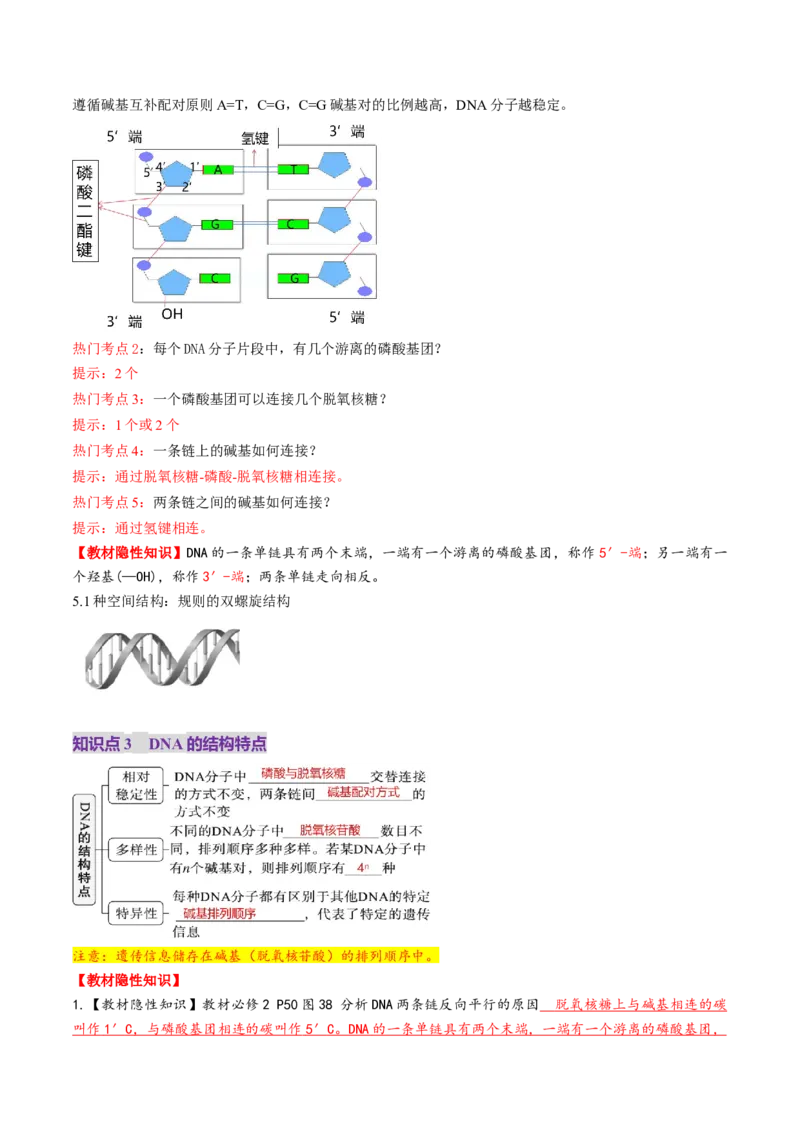 第20讲DNA分子的结构、复制与基因的本质（讲义）（解析版）_2025年新高考资料_一轮复习_2025年高考生物一轮复习讲练测（新教材新高考）