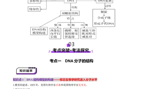 第20讲DNA分子的结构、复制与基因的本质（讲义）（解析版）_2025年新高考资料_一轮复习_2025年高考生物一轮复习讲练测（新教材新高考）