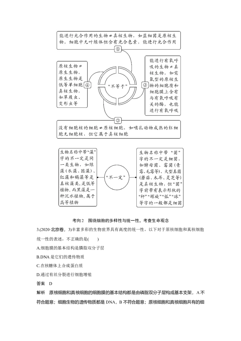 第1讲　借助显微镜走近细胞_新高考复习资料_2023年新高考复习资料_一轮复习_2023年新高考大一轮复习讲义_2023年高考生物一轮复习讲义（新人教新高考）_赠补充习题