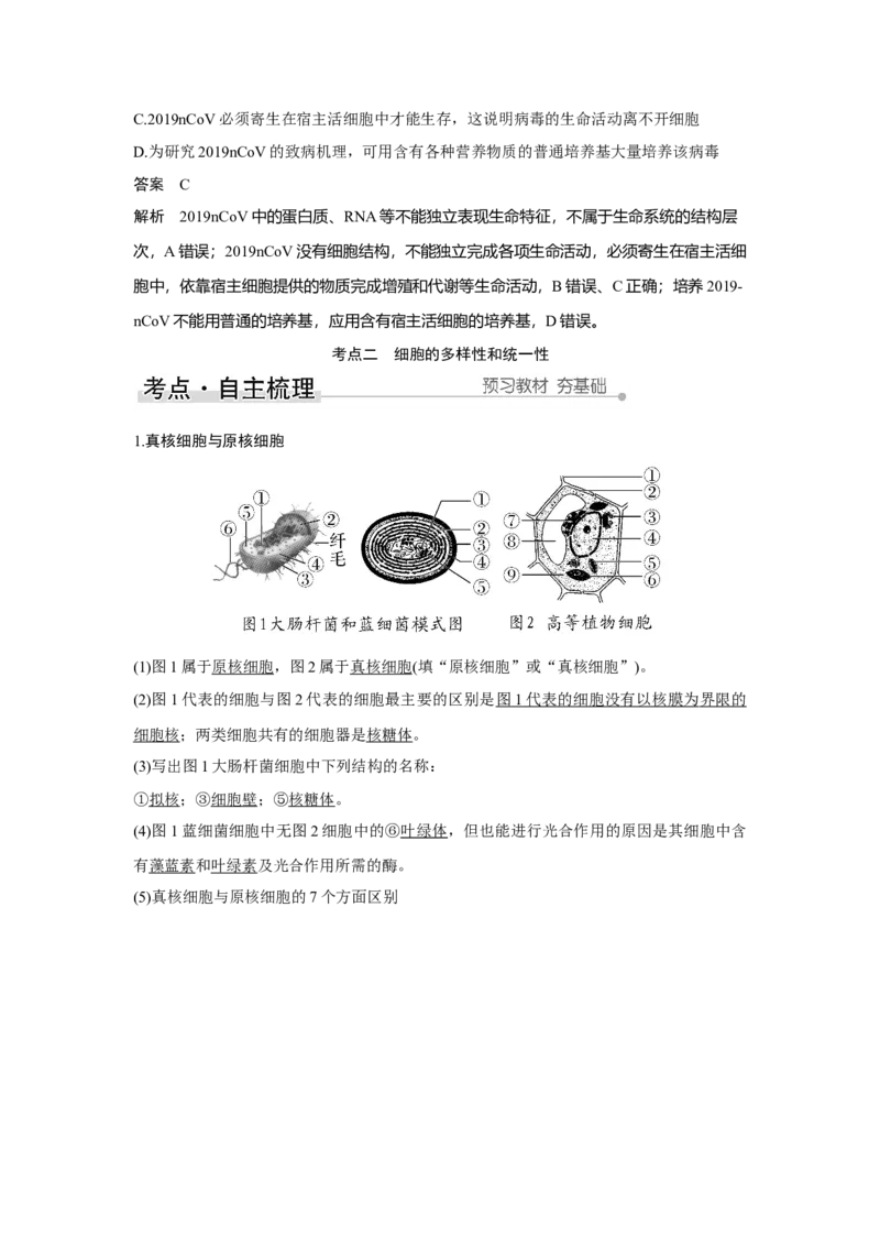 第1讲　借助显微镜走近细胞_新高考复习资料_2023年新高考复习资料_一轮复习_2023年新高考大一轮复习讲义_2023年高考生物一轮复习讲义（新人教新高考）_赠补充习题