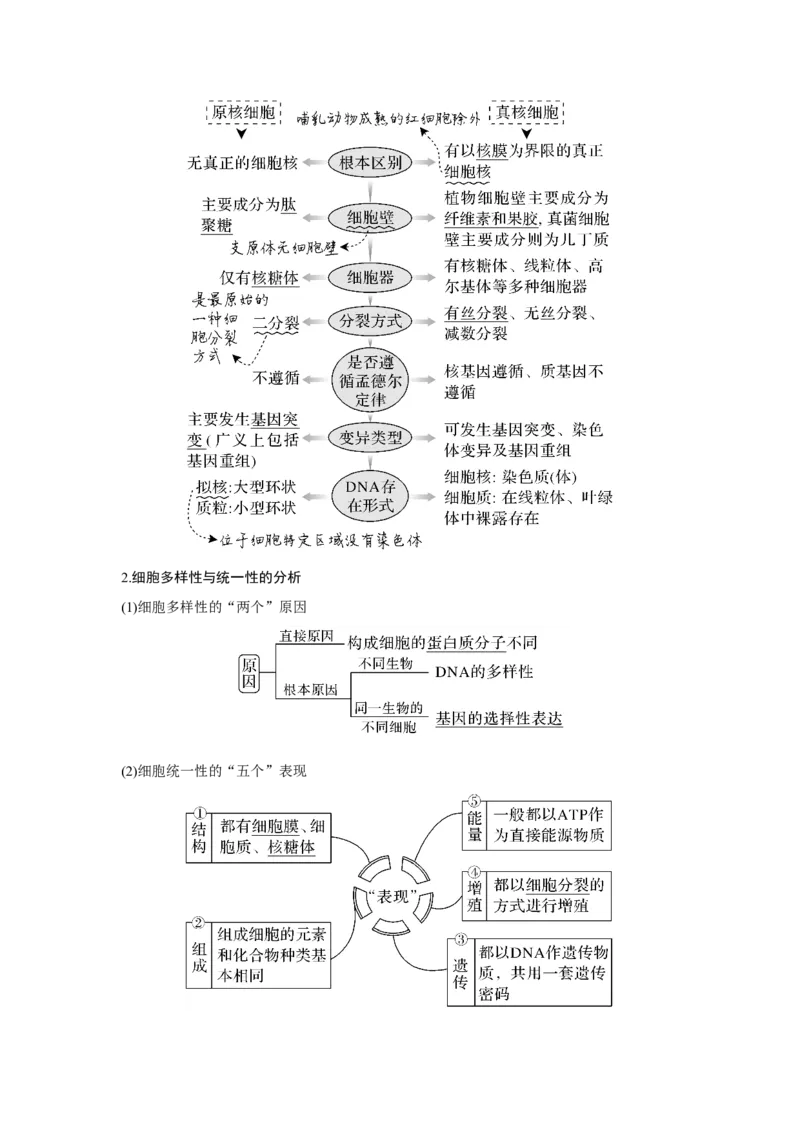 第1讲　借助显微镜走近细胞_新高考复习资料_2023年新高考复习资料_一轮复习_2023年新高考大一轮复习讲义_2023年高考生物一轮复习讲义（新人教新高考）_赠补充习题