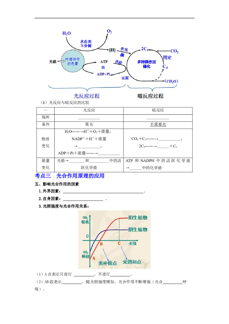 第16讲光合作用与能量转化-精准备考备战2023年高考生物一轮复习精品讲义（生物学必修1）（解析版）_通用版（老高考）复习资料_2023年复习资料_一轮复习