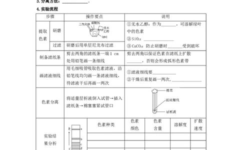 第16讲光合作用与能量转化-精准备考备战2023年高考生物一轮复习精品讲义（生物学必修1）（解析版）_通用版（老高考）复习资料_2023年复习资料_一轮复习