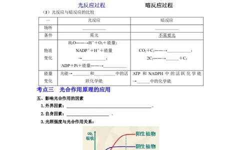 第16讲光合作用与能量转化-精准备考备战2023年高考生物一轮复习精品讲义（生物学必修1）（解析版）_通用版（老高考）复习资料_2023年复习资料_一轮复习