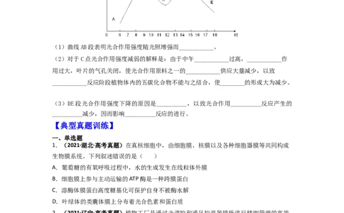 第16讲光合作用与能量转化-精准备考备战2023年高考生物一轮复习精品讲义（生物学必修1）（解析版）_通用版（老高考）复习资料_2023年复习资料_一轮复习