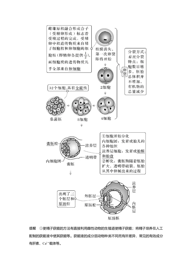 第34讲　胚胎工程及生物技术的安全性与伦理问题_新高考复习资料_2023年新高考复习资料_一轮复习_2023年新高考大一轮复习讲义_2023年高考生物一轮复习讲义（新人教新高考）