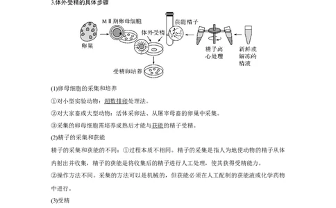第34讲　胚胎工程及生物技术的安全性与伦理问题_新高考复习资料_2023年新高考复习资料_一轮复习_2023年新高考大一轮复习讲义_2023年高考生物一轮复习讲义（新人教新高考）