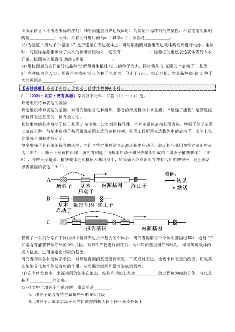 第18讲+基因工程（讲义）（原卷版）_2025年新高考资料_二轮复习_01高考语文等多个文件_上好课2025年高考生物二轮复习讲练测（新高考通用）
