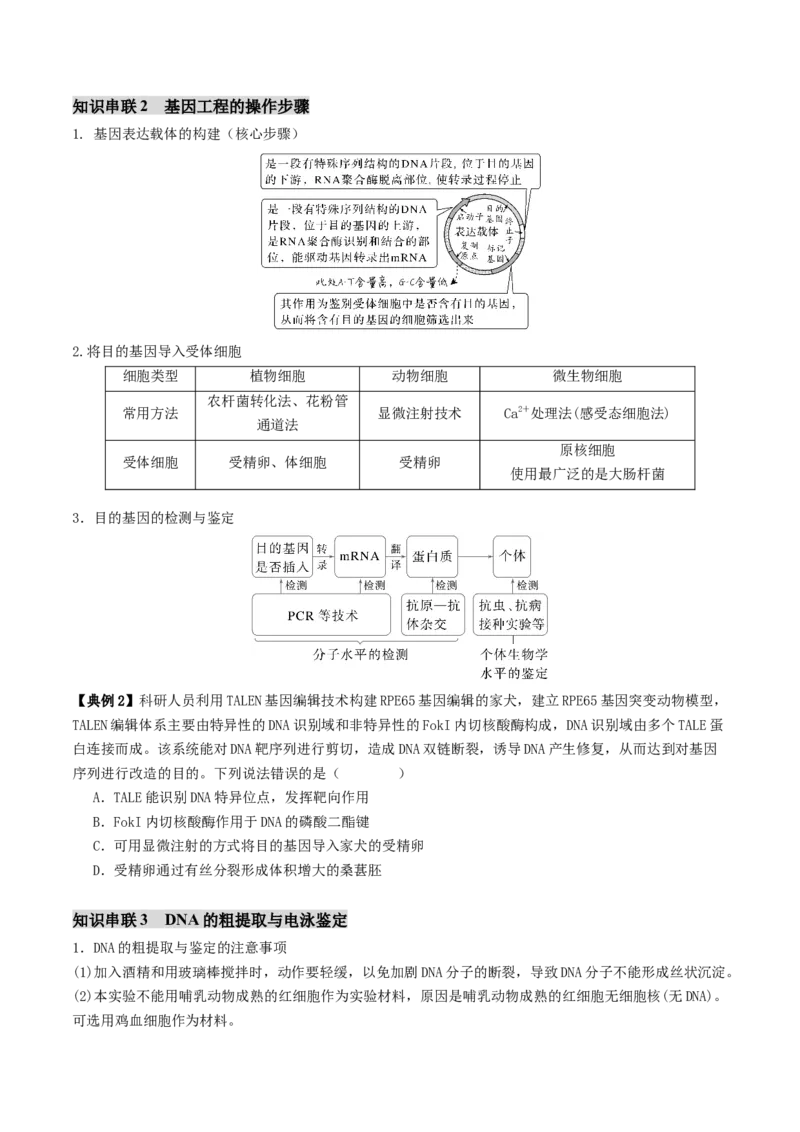 第18讲+基因工程（讲义）（原卷版）_2025年新高考资料_二轮复习_01高考语文等多个文件_上好课2025年高考生物二轮复习讲练测（新高考通用）