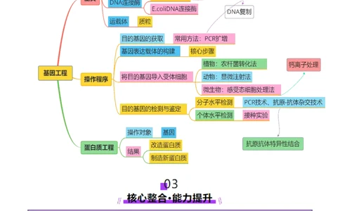 第18讲+基因工程（讲义）（原卷版）_2025年新高考资料_二轮复习_01高考语文等多个文件_上好课2025年高考生物二轮复习讲练测（新高考通用）