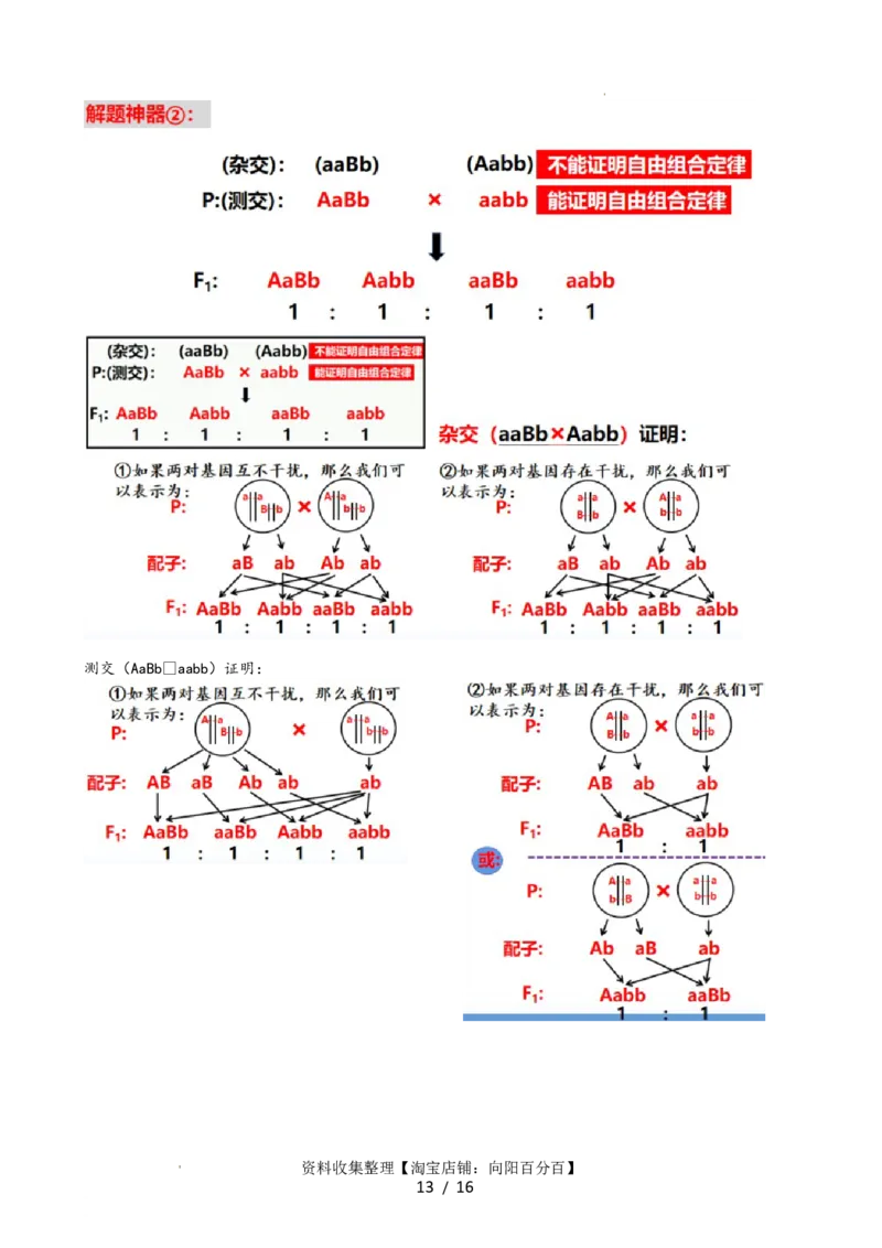 第17.1讲基因的自由组合定律（讲义）（学生版）_新高考复习资料_2024年新高考复习资料_一轮复习资料_完2024年高考生物一轮复习讲练测(课件+讲义+练习)（新高考）_讲义+练习