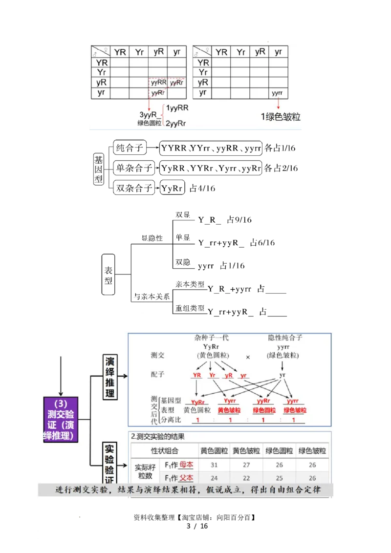 第17.1讲基因的自由组合定律（讲义）（学生版）_新高考复习资料_2024年新高考复习资料_一轮复习资料_完2024年高考生物一轮复习讲练测(课件+讲义+练习)（新高考）_讲义+练习