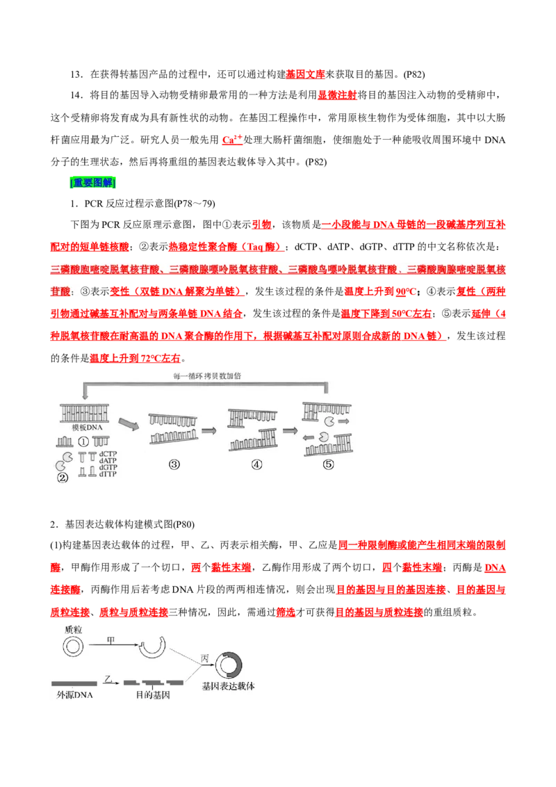 第3章基因工程、第4章生物技术的安全性与伦理问题（背诵版）_2025年新高考资料_专项复习_晨读晚默备战2025年高考生物必背知识清单