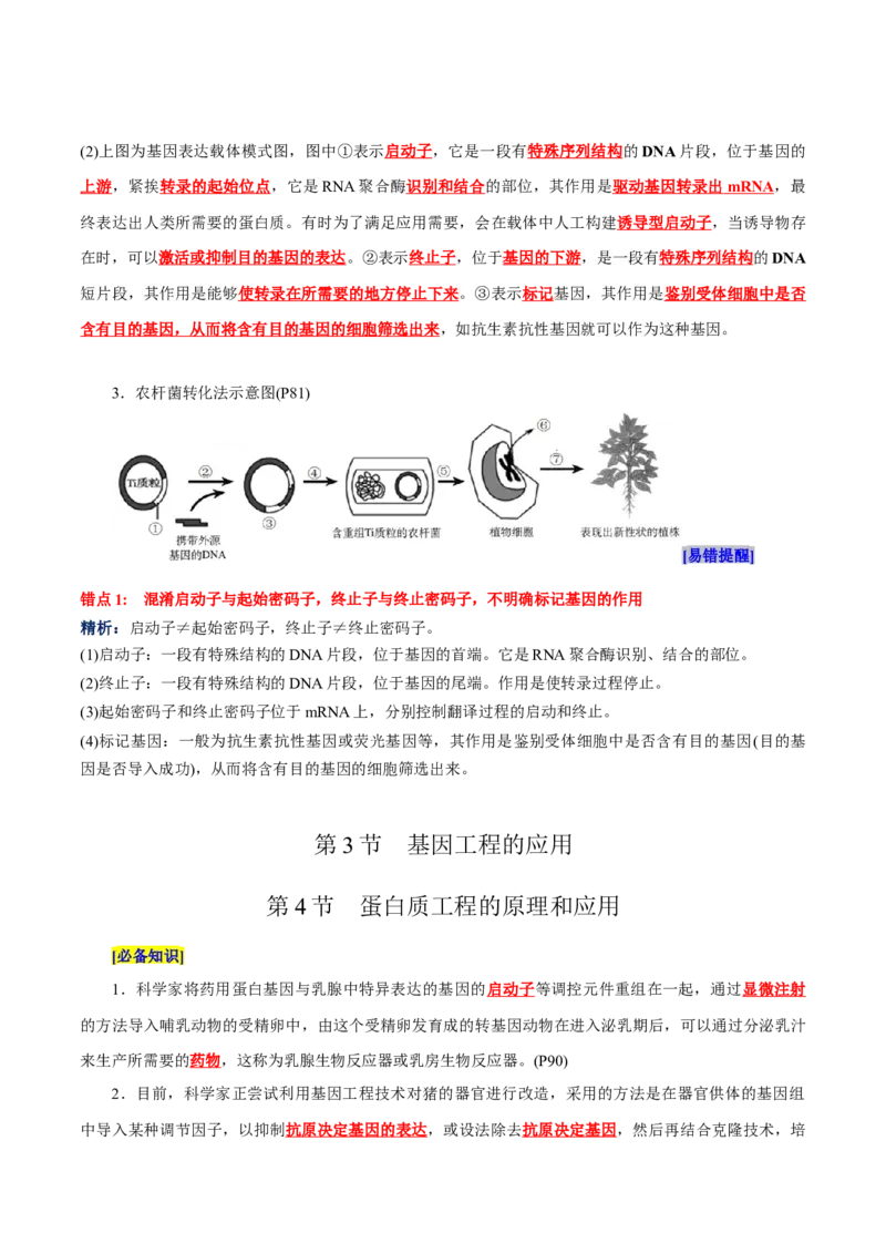 第3章基因工程、第4章生物技术的安全性与伦理问题（背诵版）_2025年新高考资料_专项复习_晨读晚默备战2025年高考生物必背知识清单