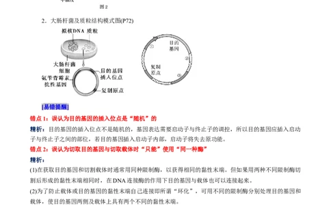 第3章基因工程、第4章生物技术的安全性与伦理问题（背诵版）_2025年新高考资料_专项复习_晨读晚默备战2025年高考生物必背知识清单