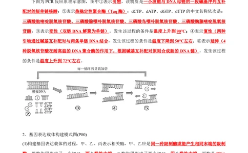 第3章基因工程、第4章生物技术的安全性与伦理问题（背诵版）_2025年新高考资料_专项复习_晨读晚默备战2025年高考生物必背知识清单
